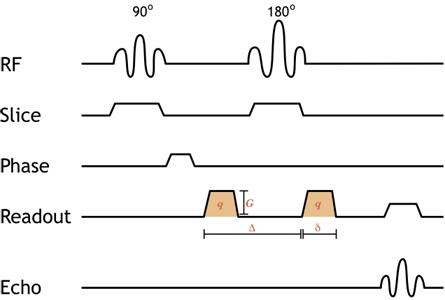 Figure 2 - Simplified pulse diagram of a diffusion-weighted image sequence (http://xrayphysics.com/dwi_simple_pulse.png)